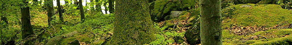 Forum Naturheilkunde