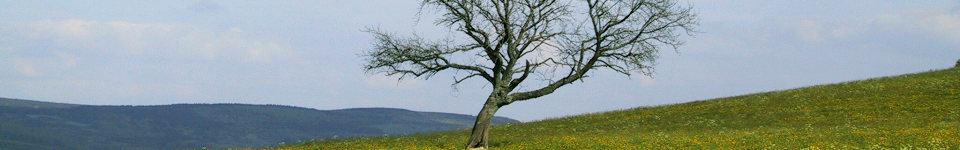 Forum Naturheilkunde