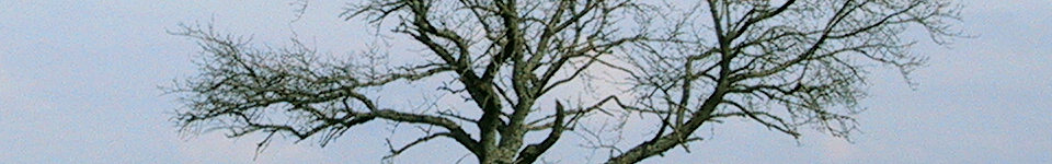 Forum Naturheilkunde