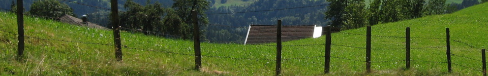Forum Naturheilkunde