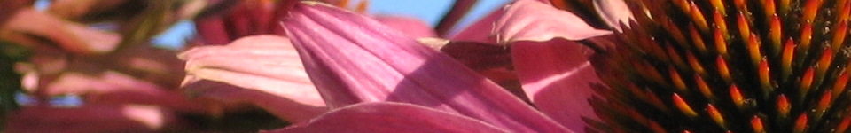 Forum Naturheilkunde