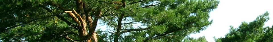 Forum Naturheilkunde
