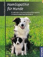 Homöopathie für Hunde