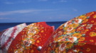 WWF Reise- und Sommertipps