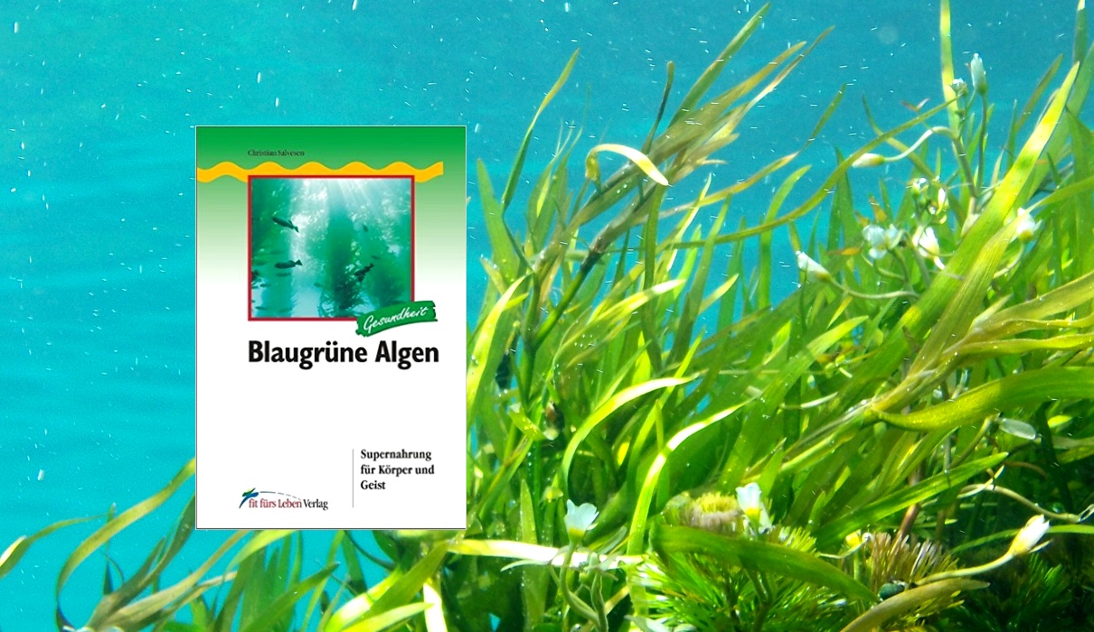 Blaugrüne Algen Blaugrüne Algen