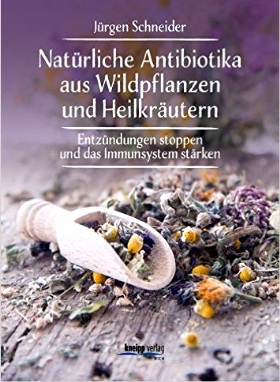 Natürliche Antibiotika aus Wildpflanzen und Heilkräutern