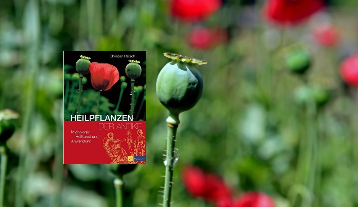 Heilpflanzen der Antike Heilpflanzen der Antike