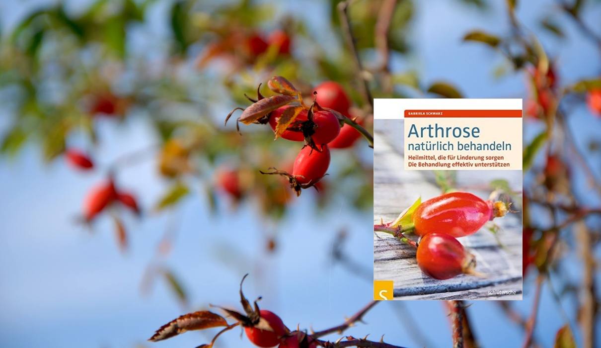 Arthrose natürlich behandeln Arthrose natürlich behandeln