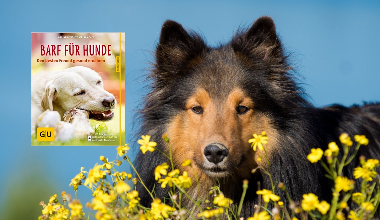 BARF für Hunde&hellip; Forum Naturheilkunde