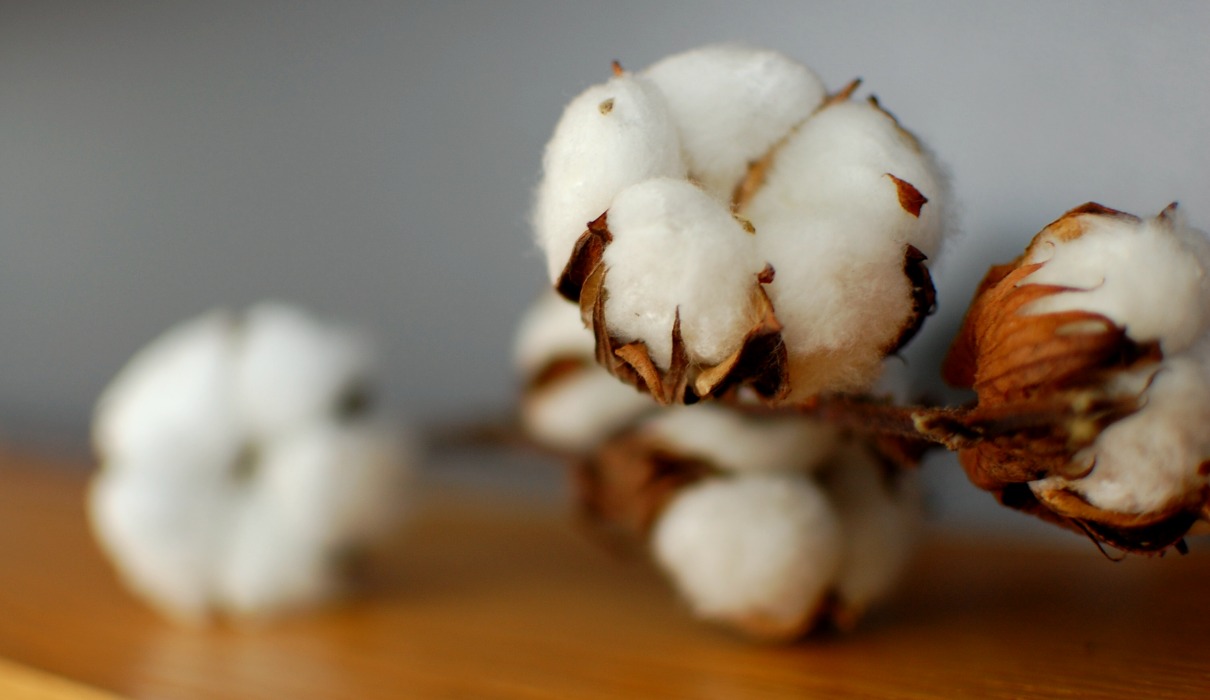Naturmode aus pestizidfreier Baumwolle
