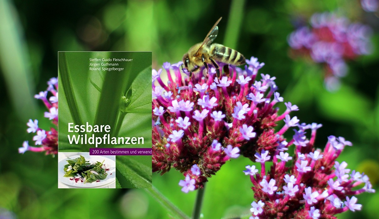 Essbare Wildpflanzen Essbare Wildpflanzen