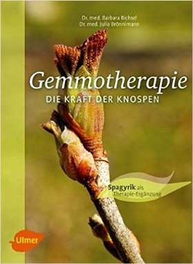 Gemmotherapie: Die Kraft der Knospen