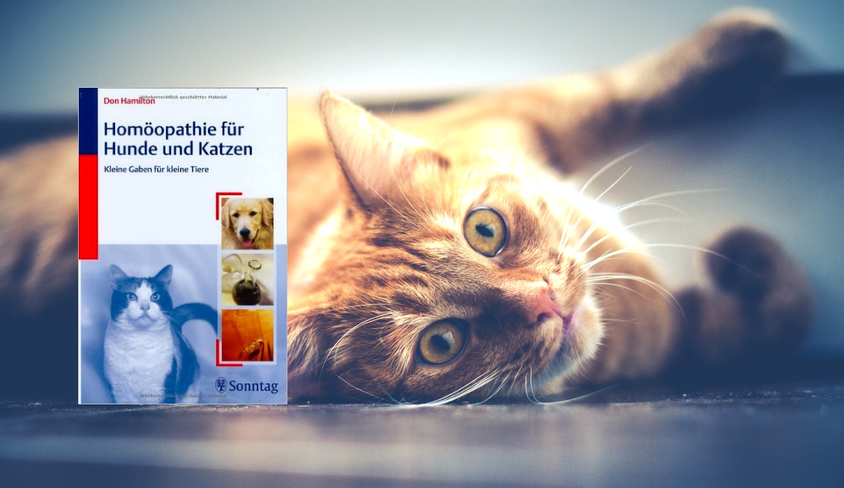 Homöopathie für Hunde und Katzen&hellip; Forum Naturheilkunde