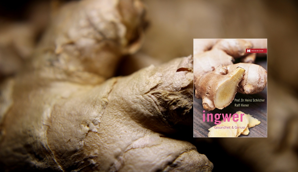 Ingwer. Gesundheit & Genuss Ingwer. Gesundheit & Genuss