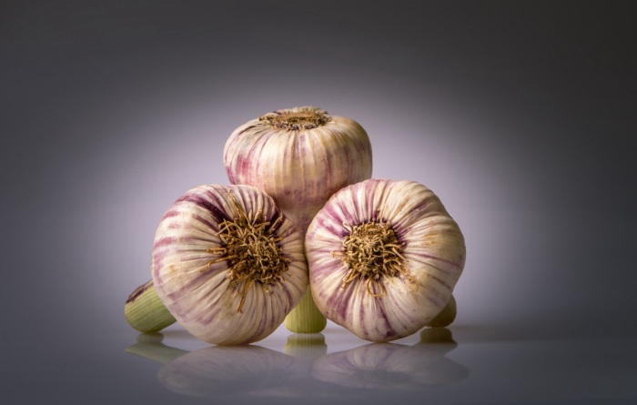 Knoblauch Knoblauch