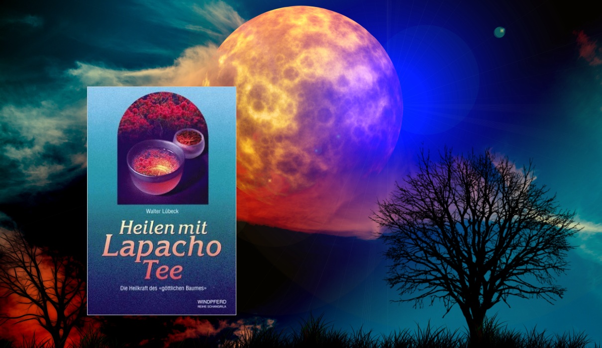 Heilen mit Lapacho Tee Heilen mit Lapacho Tee