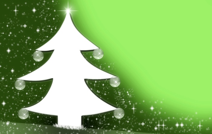 Vom Lebensbaum zum Weihnachtsbaum