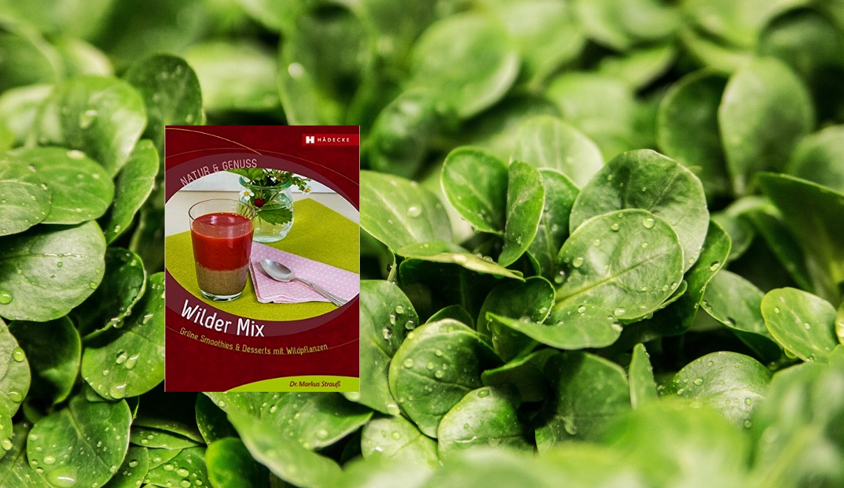 Wilder Mix: Smoothies mit Wildpflanzen - Buchtipp