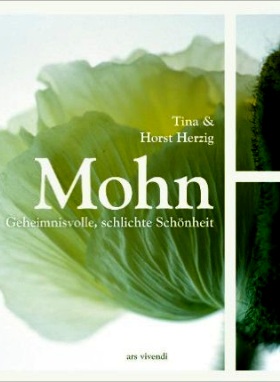 Mohn. Geheimnisvolle, schlichte Schönheit