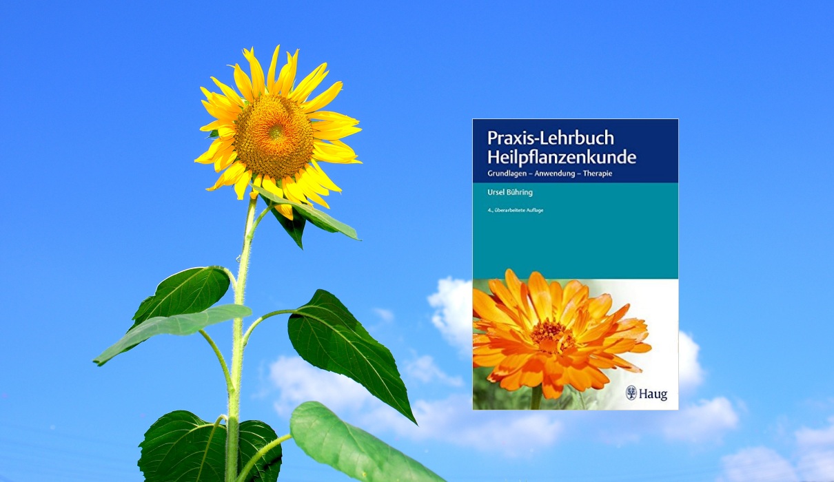 Praxis-Lehrbuch der modernen Pflanzenheilkunde