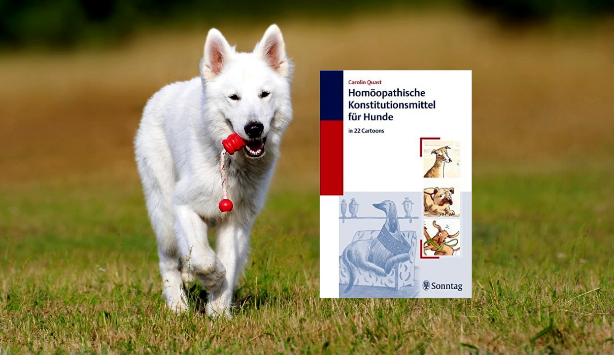 Homöopathische Konstitutionsmittel für Hunde&hellip; Forum Naturheilkunde