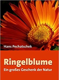 Ringelblume: Ein grosses Geschenk der Natur