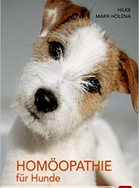 Homöopathie für Hunde