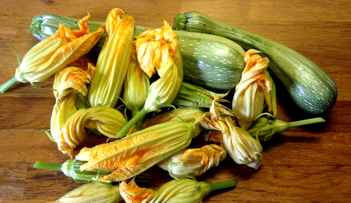 Gefüllte Zucchini... - Forum Naturheilkunde Gefüllte Zucchini... - Forum Naturheilkunde