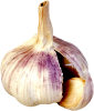 Knoblauch