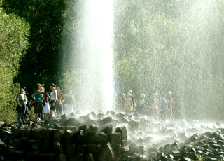 Geysir Andernach