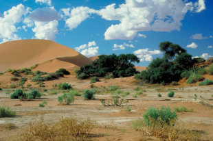 Namibia