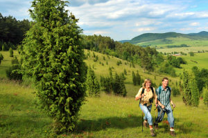 Naturschutzgebiet Wiesenthaler Schweiz