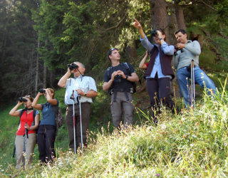 Safari in Tirol