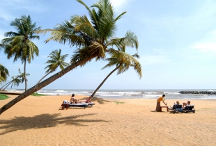 Die Sandstrände an der Westküste Sri Lankas laden zum Erholen ein.