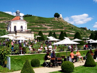 Abwechslungsreiche Weinwanderungen