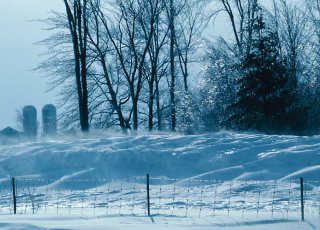 Frostiges Vergnügen