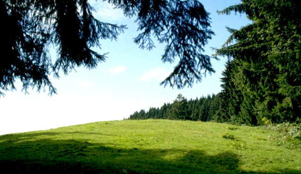 Wandern für alle Wandern für alle