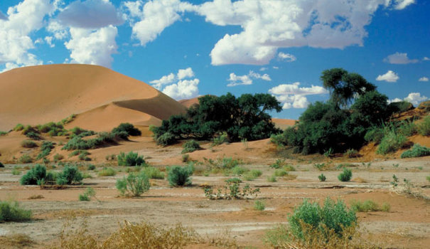 Namibia als attraktives Reiseziel für eine Familiensafari