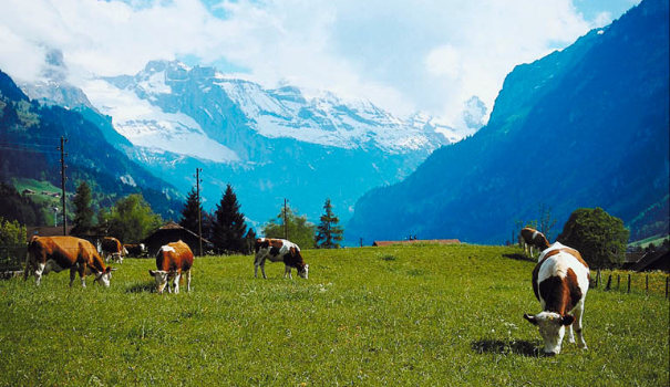 Abwechslungsreicher Familienurlaub in der Westschweiz