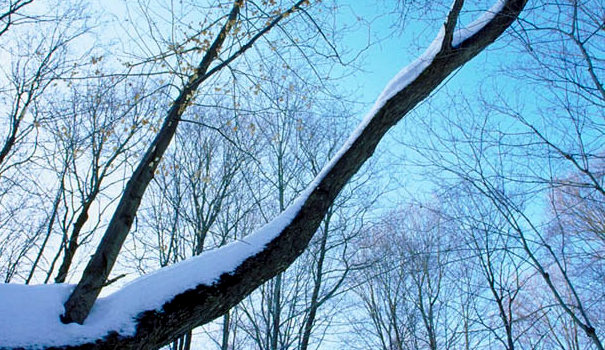 Wintermärchen im hohen Norden Wintermärchen im hohen Norden
