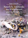 Natürliche Antibiotika aus Wildpflanzen und Heilkräutern