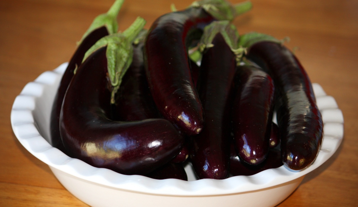 Aubergine: Bunter Weltenbürger Aubergine: Bunter Weltenbürger