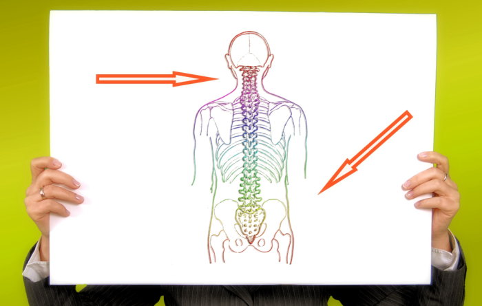 Minimal-invasive Operationen – Warum sie immer gefragter werden Minimal-invasive Operationen – Warum sie immer gefragter werden