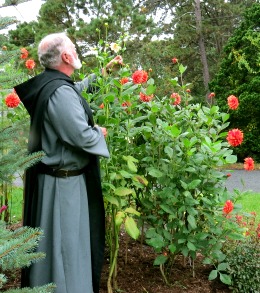 Epoche der Klostermedizin