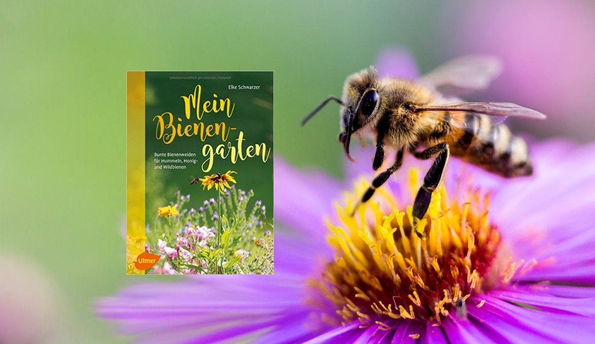 Mein Bienengarten