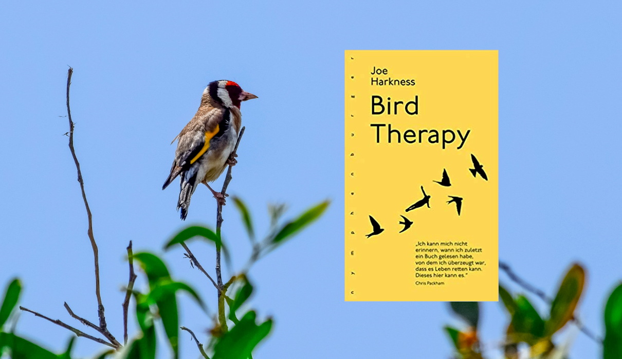 Bird Therapy Bird Therapy