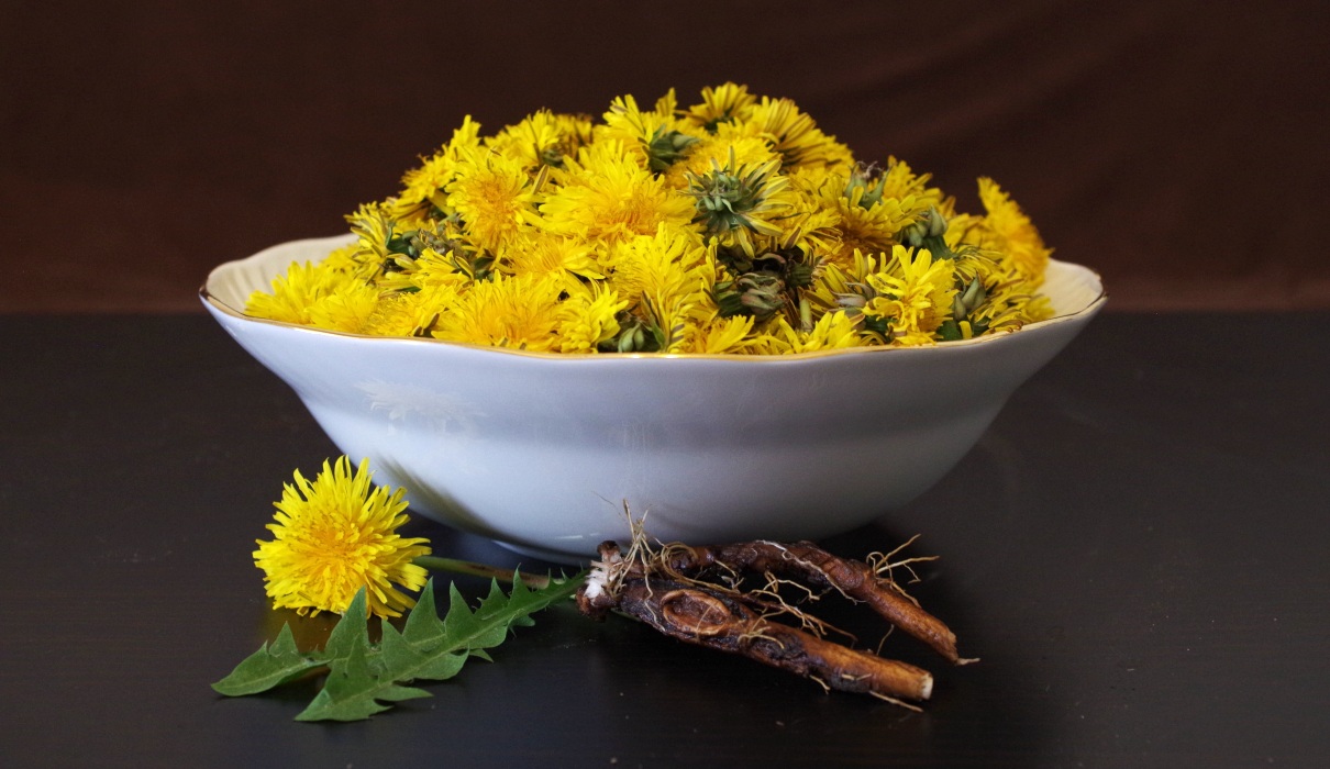 Amara - Bitterstoffe in der Phytotherapie Amara - Bitterstoffe in der Phytotherapie