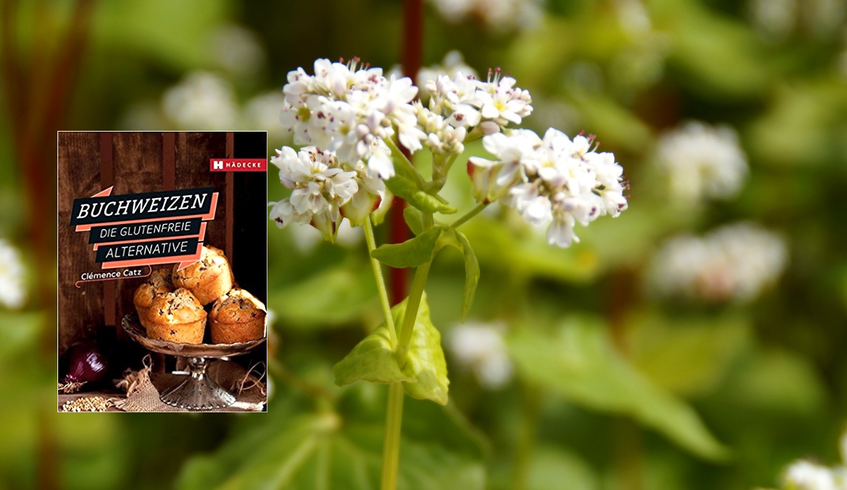 Buchweizen: Die glutenfreie Alternative