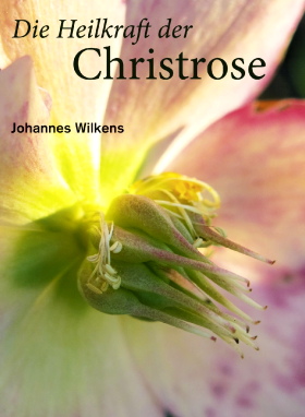 Die Heilkraft der Christrose