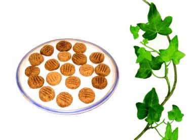 Hildegards Dinkelplätzchen Hildegards Dinkelplätzchen